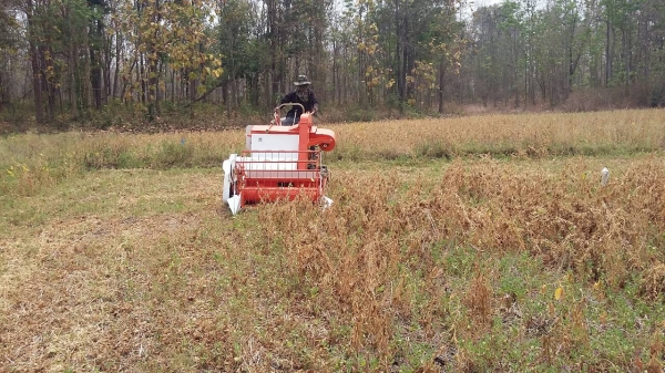 รถเก็บเกี่ยวถั่วขนาดเล็ก 089-5512032 รถเก็บเกี่ยวถั่วขนาดเล็ก 089-5512032