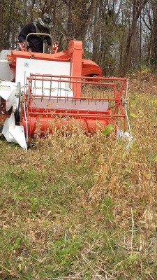 รถเก็บเกี่ยวถั่วขนาดเล็ก 089-5512032 รถเก็บเกี่ยวถั่วขนาดเล็ก 089-5512032