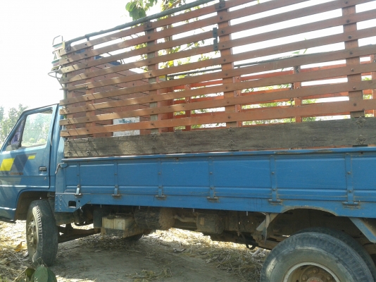 ขาย 6 ล้อ ISUZU NPR 115 รถห้างแท้ ขาย 6 ล้อ ISUZU NPR 115 รถห้างแท้