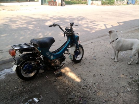 ขาย รถป๊อป ยามาฮ่า คล้ายชาลี คันเล็กมากครับ น่ารัก หายากมาก ขาย รถป๊อป ยามาฮ่า คล้ายชาลี คันเล็กมากครับ น่ารัก หายากมาก