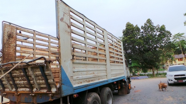 HINO  FL3H  195 แรงม้า ไปสุโขทัยค่ะ