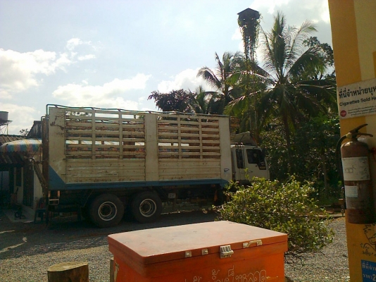 HINO  FL3H  195 แรงม้า ไปสุโขทัยค่ะ