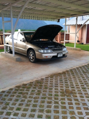 ขาย honda accord ปี 95