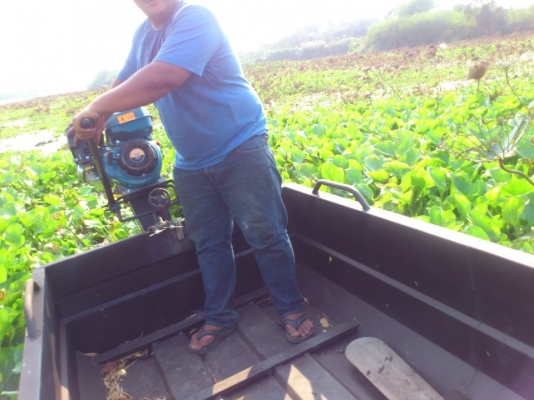 เครื่องเรือ หางสั้น หางยาว ตกปลา เรือท้องแบน