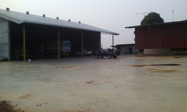 รถตัก TCM พร้อมฉางข้าว เนื้อที่ 4 ไร โฏดัง ตาชั่ง ออฟฟิค พร้อมที่สวย รถตัก TCM พร้อมฉางข้าว เนื้อที่ 4 ไร โฏดัง ตาชั่ง ออฟฟิค พร้อมที่สวย