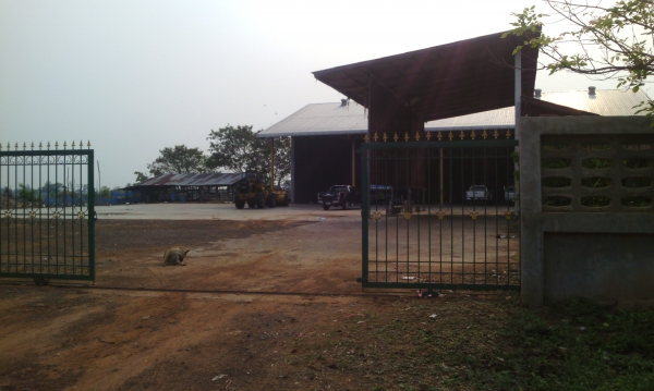 รถตัก TCM พร้อมฉางข้าว เนื้อที่ 4 ไร โฏดัง ตาชั่ง ออฟฟิค พร้อมที่สวย รถตัก TCM พร้อมฉางข้าว เนื้อที่ 4 ไร โฏดัง ตาชั่ง ออฟฟิค พร้อมที่สวย