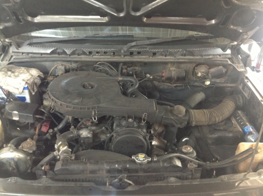 วีทาร่า สามประตู่