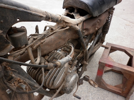 ขาย dt 100  ทบ