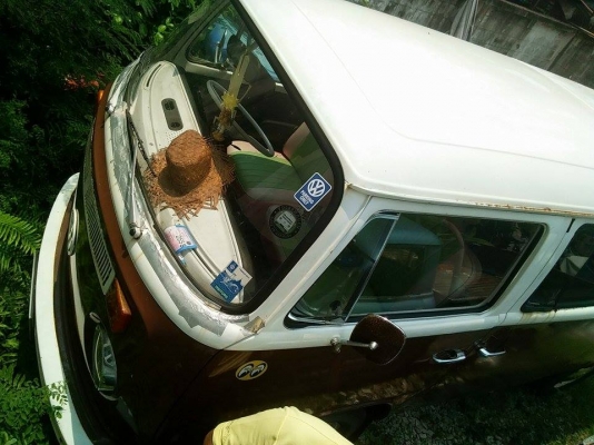 ขายรถโฟร์คตู้แตงโม ไฟเลี้ยวบน สีน้ำตาล ขาว สามารถทำร้านค้าเคลื่อนที่หรือร้านกาแฟได้ ขายรถโฟร์คตู้แตงโม ไฟเลี้ยวบน สีน้ำตาล ขาว สามารถทำร้านค้าเคลื่อนที่หรือร้านกาแฟได้