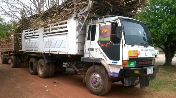 ขายแล้วไอ้หลง