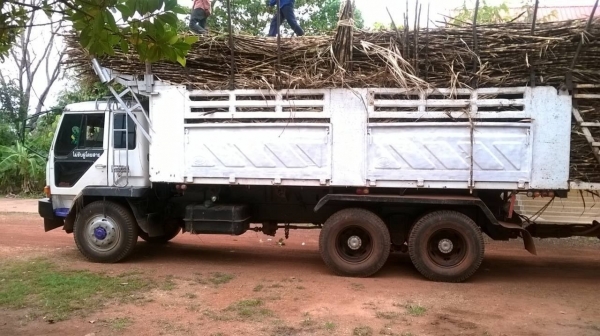 ขายแล้วไอ้หลง