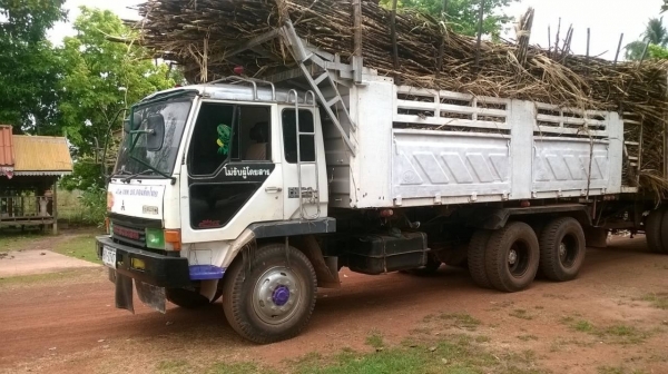 ขายแล้วไอ้หลง