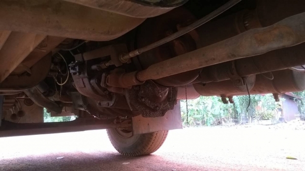 ขายแล้วไอ้หลง