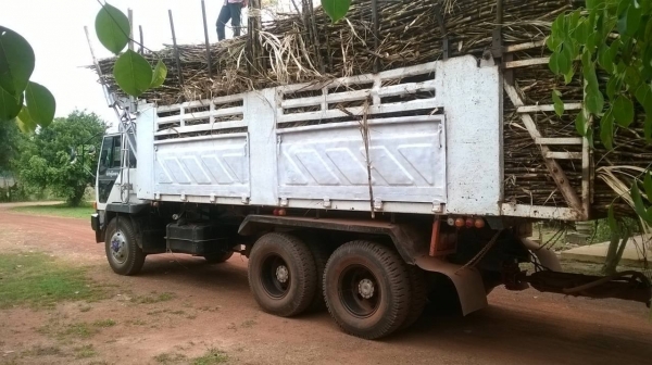 ขายแล้วไอ้หลง