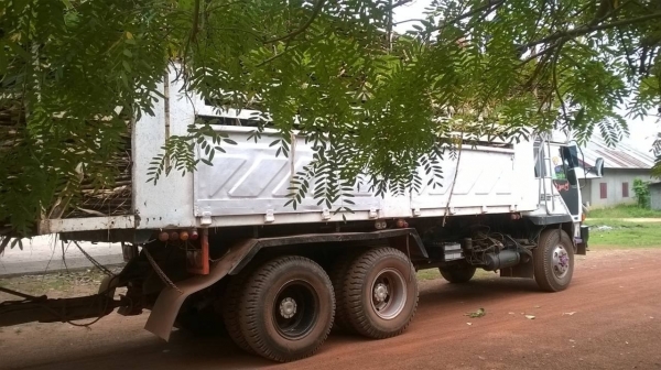 ขายแล้วไอ้หลง