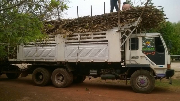 ขายแล้วไอ้หลง