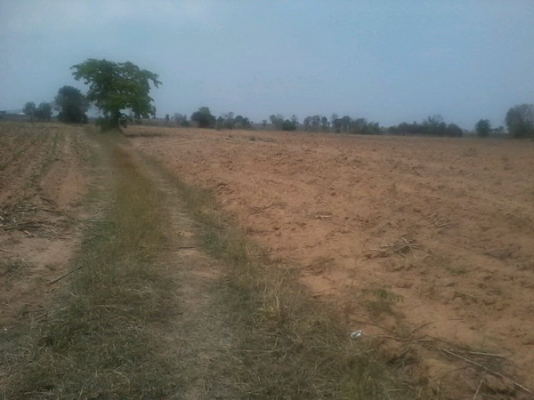 ขายที่ดินติดทางสาธารณะดินดี19-3-74 ไร่ ราคาถูก 140,000 ต่อไร่  อ.สีคิ้ว