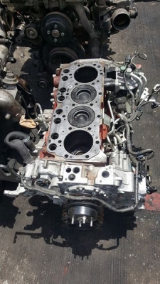 ฝาสูบ hMITSUBISHI 6DS,6D14,6D15,6D16,6D17,6D22,6D24,6D31,6D40,6M60,6M61,6M70,4D31,4D32,4D33,4D34,4D36,4DR7,4M40,4M41,4D56 KOMATSU 3D84,3D94,3D95,4D95,4D105,6D105,6D125 รับประกัน ฝาสูบ hMITSUBISHI 6DS,6D14,6D15,6D16,6D17,6D22,6D24,6D31,6D40,6M60,6M61,6M70,4D31,4D32,4D33,4D34,4D36,4DR7,4M40,4M41,4D56 KOMATSU 3D84,3D94,3D95,4D95,4D105,6D105,6D125 รับประกัน