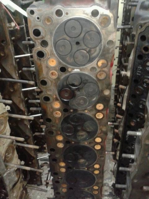 ฝาสูบ hMITSUBISHI 6DS,6D14,6D15,6D16,6D17,6D22,6D24,6D31,6D40,6M60,6M61,6M70,4D31,4D32,4D33,4D34,4D36,4DR7,4M40,4M41,4D56 KOMATSU 3D84,3D94,3D95,4D95,4D105,6D105,6D125 รับประกัน ฝาสูบ hMITSUBISHI 6DS,6D14,6D15,6D16,6D17,6D22,6D24,6D31,6D40,6M60,6M61,6M70,4D31,4D32,4D33,4D34,4D36,4DR7,4M40,4M41,4D56 KOMATSU 3D84,3D94,3D95,4D95,4D105,6D105,6D125 รับประกัน