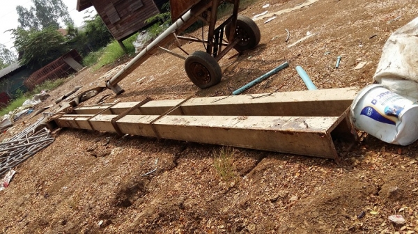 ต้นกระพ้อ ส่งไปโคราชครับ