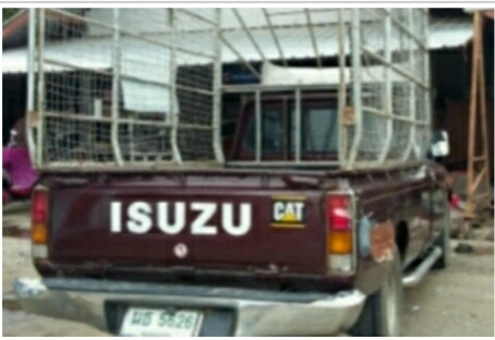 รถกะบะพร้อมใช้งาน ทะเบียนพร้อมโอน ภาษี 58