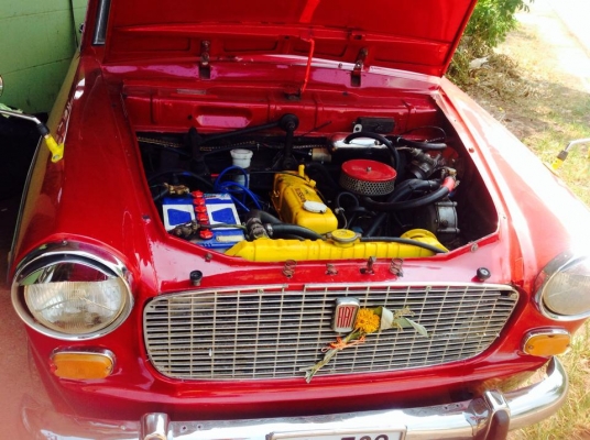 เฟียต1100d