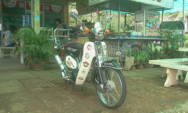 ขาย C70 เครื่องเวฟ Z (ไม่ ท.บ) ค่าตัว 9900 บาท