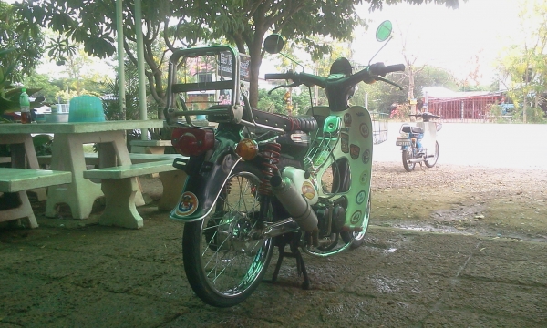 ขาย C70 เครื่องเวฟ Z (ไม่ ท.บ) ค่าตัว 9900 บาท