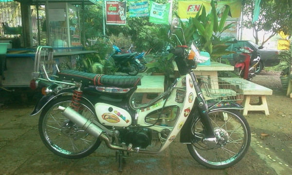 ขาย C70 เครื่องเวฟ Z (ไม่ ท.บ) ค่าตัว 9900 บาท