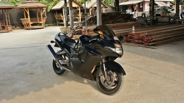 ขาย  blackbird ถูกๆ