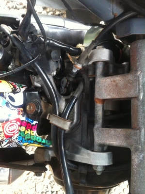 ขาย zx af35 เเท้ ///19500//