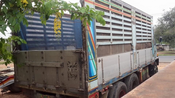 ขายรถบรรทุก กระมิเนียมร่อง 10ล้อ1เพลา มือเดียวป้ายแดง ISUZU ROCKY175 FVM12 MYห้างแท้ พ.เพาเวอร์เบรคทิ๊ฟฟี่ แชชซีสวย เพลาใหญ่200 สภาพพร้อมใช้งาน เอกสารเล่มทะเบียนพร้อมโอน ยางดี