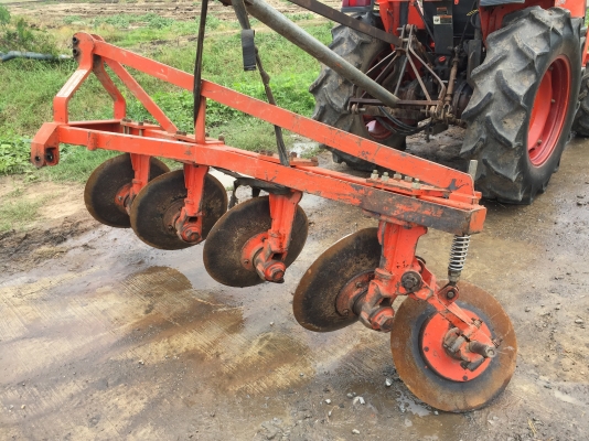 ผานบุก 4 ใบ สภาพสมบูรณ์มากๆ ได้ไปคุ้มชัวร์