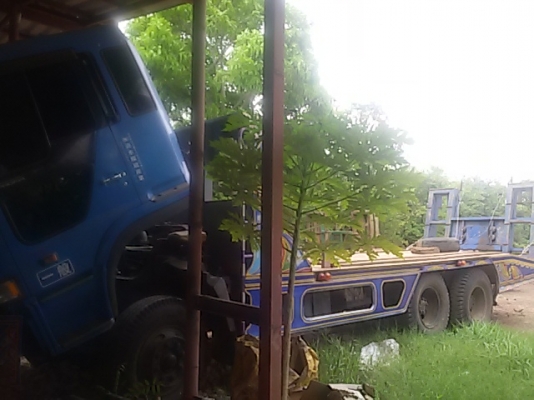 ขายเทเลอร์พร้อมใช้ ต่อใหม่ นิสสันเปลี่ยนหัวโปรเฟีย