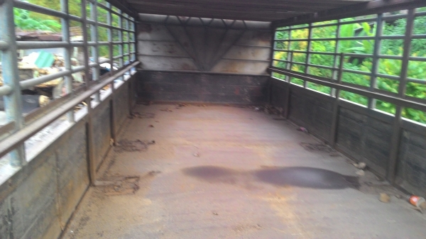 ขายisuzu ftr195 HP rocky