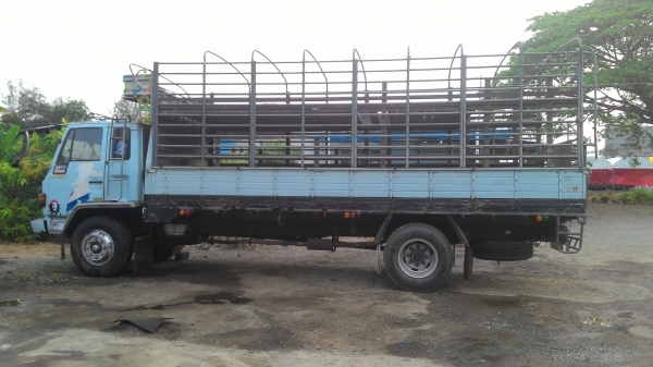 ขายisuzu ftr195 HP rocky