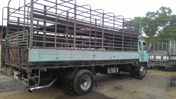 ขายisuzu ftr195 HP rocky