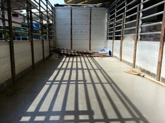 รถอีซูซุ 6 ล้อ ( ไม่ดั้ม )  FRR  190 แรงม้า. ปี 55  ( รถวิ่ง 4xx,xxx กม. )    สนใจติดต่อ  081 - 6079515