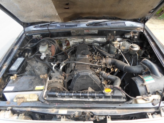 ขายตัดไมตี้ปี96 ขายตัดไมตี้ปี96