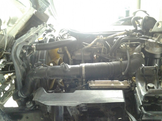 ขาย6ล้อNPR150หัวตึกกระบะ ยาว5เมตร ปี52 ขาย6ล้อNPR150หัวตึกกระบะ ยาว5เมตร ปี52