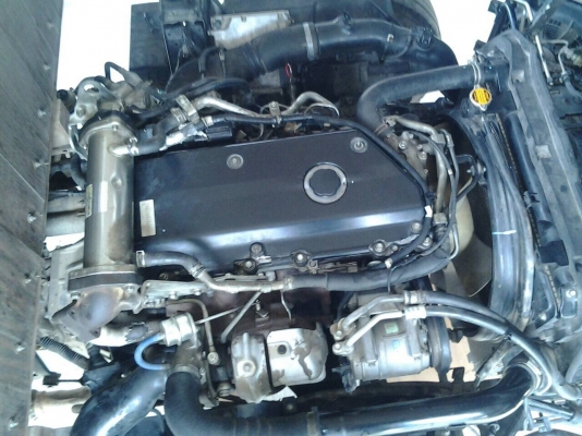 ขาย6ล้อNPR150หัวตึกกระบะ ยาว5เมตร ปี52 ขาย6ล้อNPR150หัวตึกกระบะ ยาว5เมตร ปี52