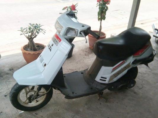 ขายรถป้อป หายากสักคันครับ