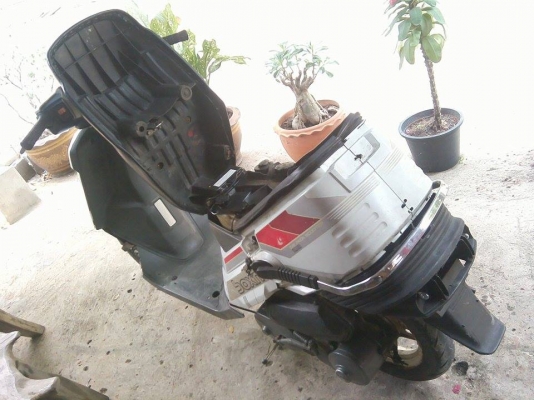 ขายรถป้อป หายากสักคันครับ