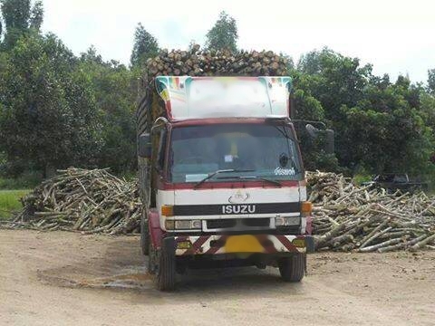 Isuzu 175 ดั้ม เพลาเดียว