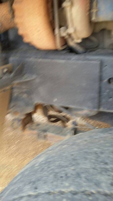 ขายด่วน!!! ร๊อคกี้ 210 แรง แม่+ลูก ขายด่วน!!! ร๊อคกี้ 210 แรง แม่+ลูก