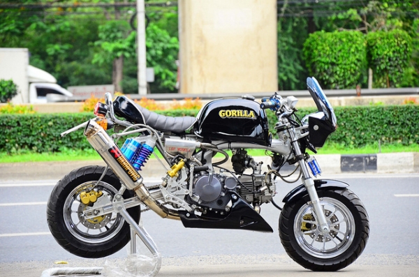 มังกี้แต่งๆๆ กอลิล่า แต่ง ลดราคาทุกรุ่น ต้อนรับปีใหม่ ด่วนๆๆ ลดๆๆ