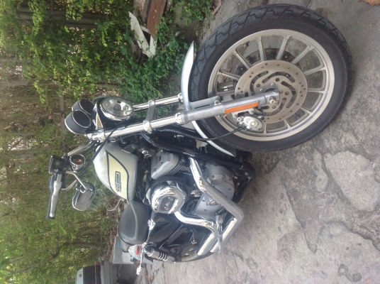 ขาย sportster roadster 1200 ขาย sportster roadster 1200