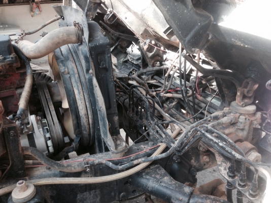 ขาย 195 นางฟ้า ขาย 195 นางฟ้า