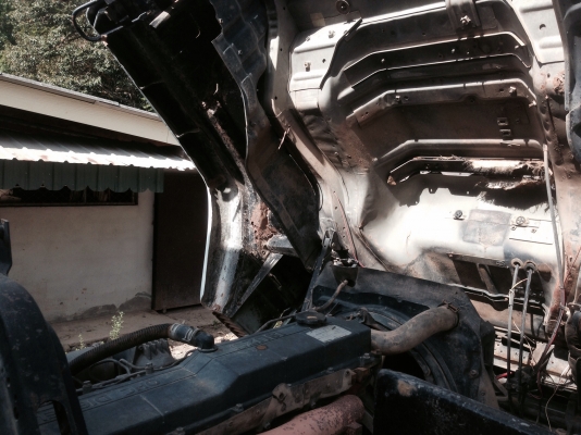 ขาย 195 นางฟ้า