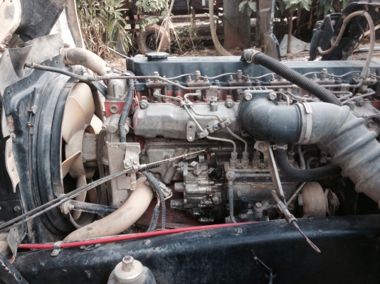 ขาย 195 นางฟ้า ขาย 195 นางฟ้า